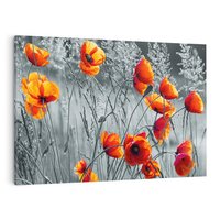 Obraz na płótnie 70x50 - Malownicza łąka - maki, mak