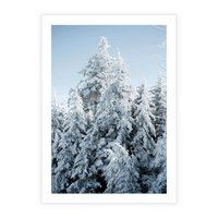 Plakat bez ramy 40x50 - Magia Śnieżnych Drzew - zima, iglaste drzewa