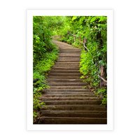 Plakat bez ramy 21x30 - Magia Leśnej Ścieżki - ścieżka, w lesie
