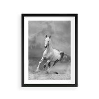 Plakat w ramie 30x40 - Elegancja w Czarno-Białym - koń, biało - rama czarna