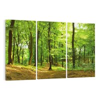 Obraz na płótnie 120x80 - Mistyka leśnych drzew - las, drzewa