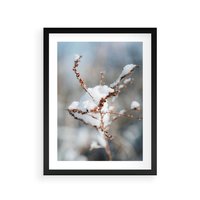 Plakat w ramie 40x50 - Zimowy Urok Natury - gałązki pod śniegiem, natura - rama czarna