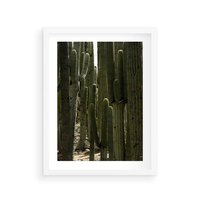 Plakat w ramie 30x40 - Wyjątkowy Klimat Boho - kaktusy, pustynia - rama biała