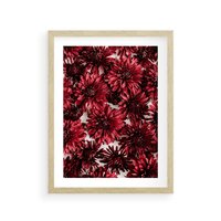 Plakat w ramie 50x70 - Energia Kwiatów - czerwone kwiaty, kompozycja - rama drewno