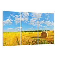 Obraz na płótnie 120x80 - Urok rolnictwa: Trawa w pełnym rozkwicie - rolnictwo, trawa