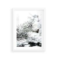 Plakat w ramie 40x50 - Chwila Zimowej Magii - iglasta gałązka, śnieg - rama biała