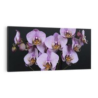 Obraz na płótnie 140x70 - Kwiatowy zachwyt pełen kolorów - kwiat, kwiaty