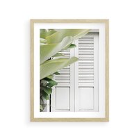 Plakat w ramie 30x40 - Tropikalne Okno - białe okiennice, zielona tropikalna roślina - rama drewno