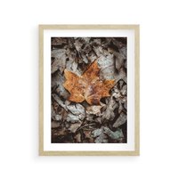 Plakat w ramie 50x70 - Jesienne Czarowanie - suchy liść, żółty - rama drewno