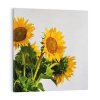 Obraz na płótnie 40x40 - Słoneczna Radość - fotografia, żółte słoneczniki