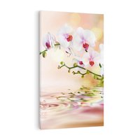 Obraz na płótnie 80x120 - Elegancja orchidei - orchidea, kwiaty