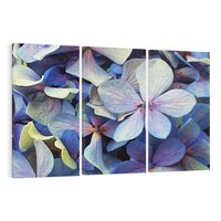 Obraz na płótnie 120x80 - Hortensja - delikatność kwiatów - hortensja, kwiaty