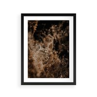 Plakat w ramie 30x40 - Delikatne Detale - paprocie, brąz - rama czarna