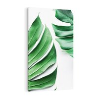 Obraz na płótnie 80x120 - Monstera - Liście Kwiaty - monstera, liście