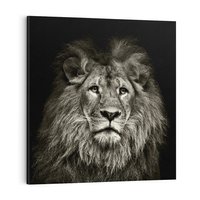 Obraz na płótnie 70x70 - Moc lewego spojrzenia - lew, czarno
