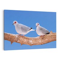 Obraz na płótnie 100x70 - Gołębie w locie - gołębie, gołąb