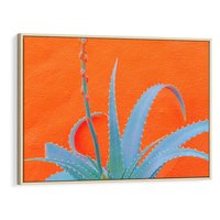 Obraz w ramie 70x50 - Naturalna Harmonia - kaktusy, liście - rama drewno