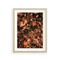 Plakat w ramie 40x50 - Jesienny Splot: Pomarańczowe Liście - liście, pomarańczowe suche liście - rama drewno