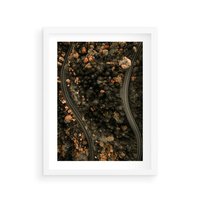 Plakat w ramie 30x40 - Las i Droga w Kolorach Jesieni - droga, ujęcie z góry - rama biała