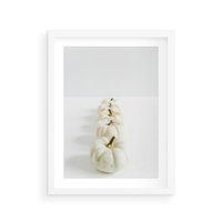 Plakat w ramie 40x50 - Białe Dynie - białe dynie, jesień - rama biała