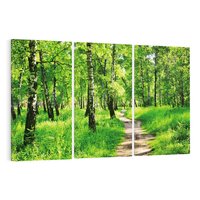 Obraz na płótnie 120x80 - odkryj piękno drzew - las, drzewa