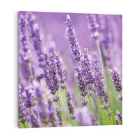 Obraz na płótnie 80x80 - Urok lawendy - lawenda, kwiaty