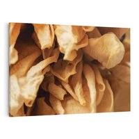 Obraz na płótnie 120x80 - Zjawiskowe zasuszone kwiaty - zasuszone, kwiaty