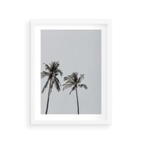 Plakat w ramie 40x50 - Tropikalny Raj: Palmy i Niebo - palmy, niebo - rama biała