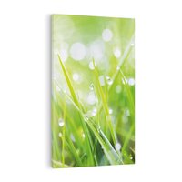 Obraz na płótnie 70x100 - Delikatna trawa pokryta rosą - trawa, rosa