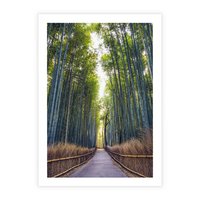 Plakat bez ramy 21x30 - Urokliwa dróżka w lesie - las, dróżka