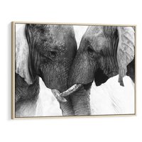 Obraz w ramie 100x70 - Spotkanie Mądrości - fotografia czarno biała, dwa słonie - rama drewno