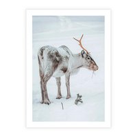 Plakat bez ramy 30x40 - Magia Świąt - renifer na śniegu, śnieg