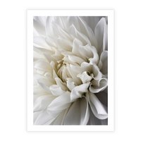 Plakat bez ramy 50x70 - Białe Kwiaty Delikatności - białe, kwiaty
