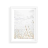 Plakat w ramie 50x70 - Jasna Delikatność: Fotografia Suchych Traw - suche trawy, jasna fotografia - rama biała