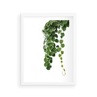 Plakat w ramie 50x70 - Świeżość Natury - liście, zielone - rama biała