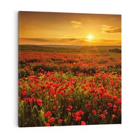 Obraz na płótnie 60x60 - Makowe uczucia - maki, kwiaty