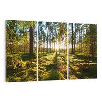 Obraz na płótnie 120x80 - Obfitość natury - las, drzewa