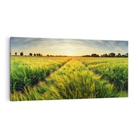 Obraz na płótnie 140x70 - Idylliczna łąka - łąka, natura