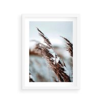 Plakat w ramie 30x40 - Zima na Suchych Trawach - suche trawy, śnieg wysokich na trawach - rama biała