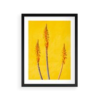 Plakat w ramie 30x40 - Radość Natury - kolor, kwiaty - rama czarna