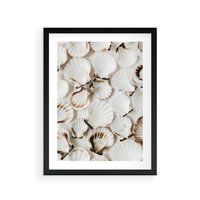 Plakat w ramie 50x70 - Białe Muszle - białe muszle, ujęcie z góry - rama czarna