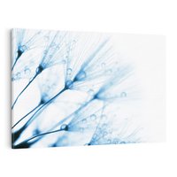 Obraz na płótnie 100x70 - Kwiat w kroplach wody - kwiat, krople