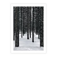 Plakat bez ramy 30x40 - Zimowe Drzewa: Śnieg na Pniach - drzew w zimi, pnie drzew