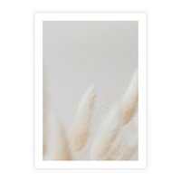 Plakat bez ramy 50x70 - Biały Spokój - białe trawy, suche trawy pampas