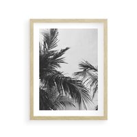 Plakat w ramie 40x50 - Palmy w Monochromii - palmy, tropikalne palmy - rama drewno