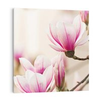 Obraz na płótnie 50x50 - Urok Magnolii - magnolie, kwiaty
