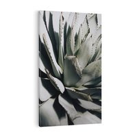 Obraz na płótnie 70x100 - Sukulenty wśród kaktusów - sukulenty, kaktusy