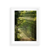 Plakat w ramie 30x40 - harmonia natury - las, drzewa - rama biała