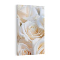 Obraz na płótnie 50x70 - Białe róże piękności - białe, róże