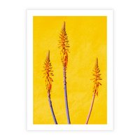 Plakat bez ramy 30x40 - Radość Natury - kolor, kwiaty